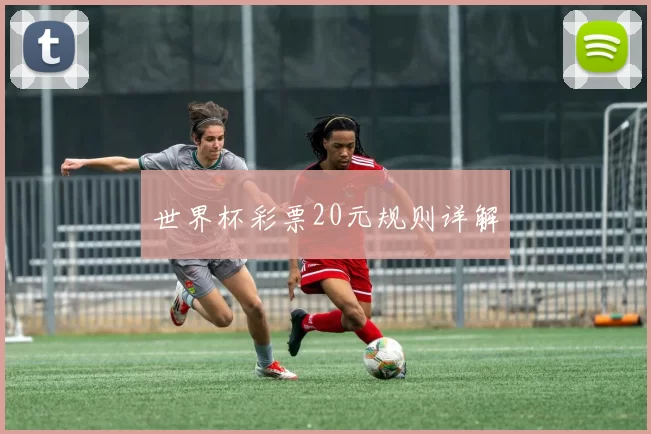 世界杯彩票20元规则详解
