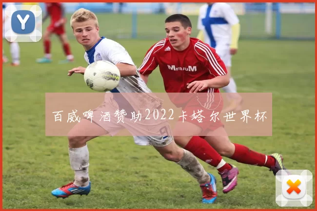 百威啤酒赞助2022卡塔尔世界杯
