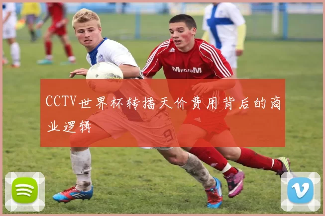 CCTV世界杯转播天价费用背后的商业逻辑