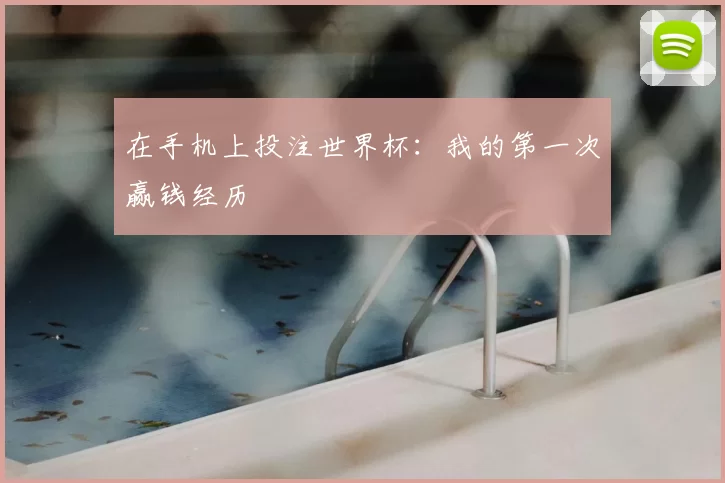 在手机上投注世界杯：我的第一次赢钱经历