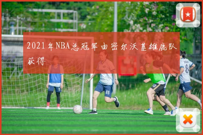 2021年NBA总冠军由密尔沃基雄鹿队获得