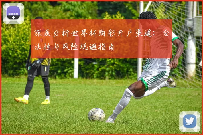 深度分析世界杯购彩开户渠道:合法性与风险规避指南