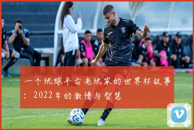 一个玩球平台老玩家的世界杯故事:2022年的激情与智慧
