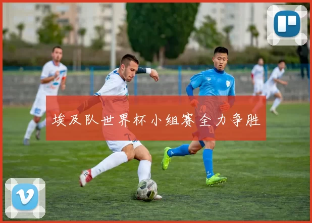 埃及队世界杯小组赛全力争胜