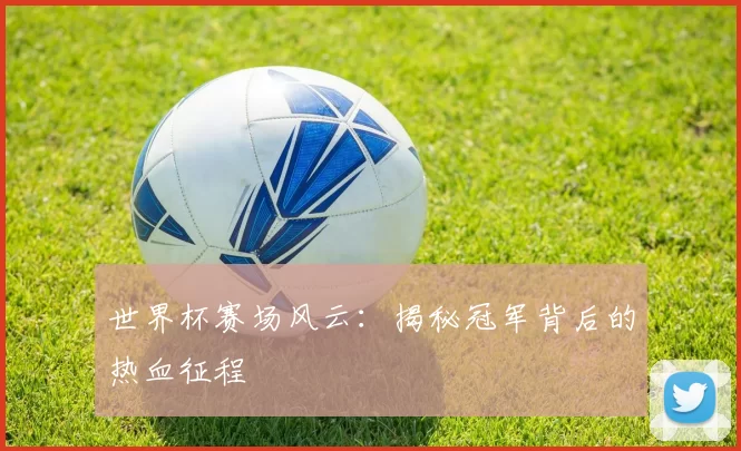 世界杯赛场风云：揭秘冠军背后的热血征程