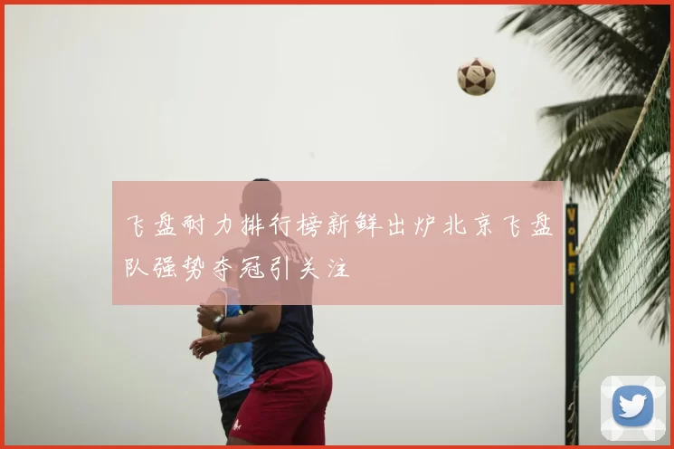 飞盘耐力排行榜新鲜出炉北京飞盘队强势夺冠引关注